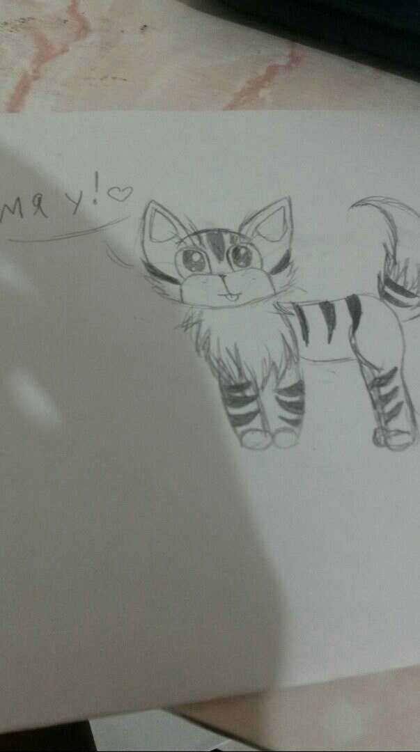 Котенок рисунок карандашом
